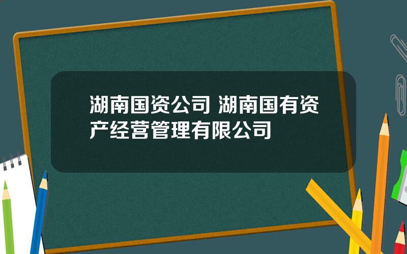 湖南国资公司 湖南国有资产经营管理有限公司